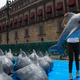 In July, a young woman with the World Wildlife Fund carries a papier mache vaquita replica during an event calling on the Mexican government to take additional steps to protect the world’s smallest marine mammal. (AP Photo/Rebecca Blackwell)